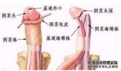 阿拉尔男科医院那里治得好一点